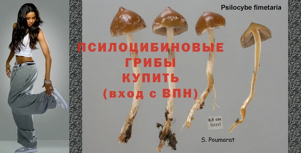 гашишное масло Каменногорск