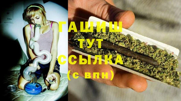 дмт Каменка