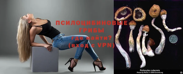 дмт Каменка