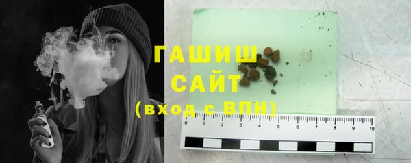 дмт Каменка