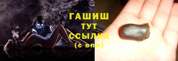 дмт Каменка