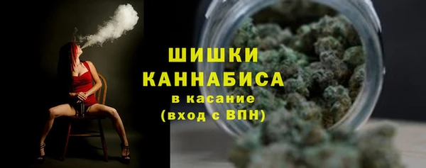 дмт Каменка