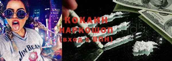 дмт Каменка