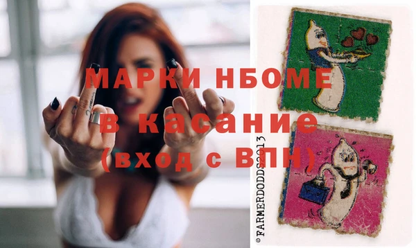 дмт Каменка