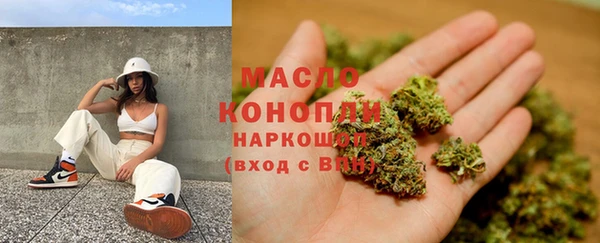 дмт Каменка