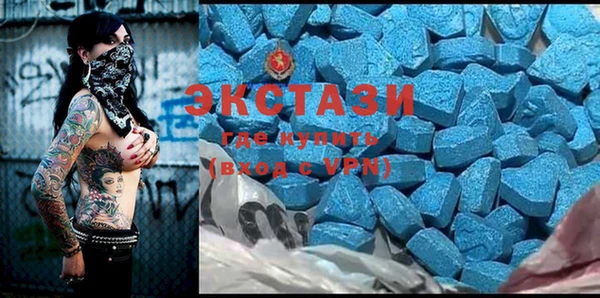 дмт Каменка